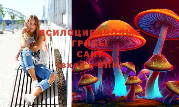 кокс Новодвинск